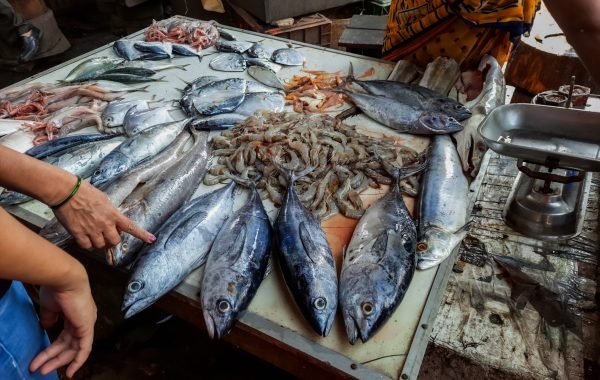 A close-up shot of a trade in a fish market